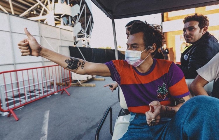 ¡Ay, no! Harry Styles cancela sus conciertos por problemas de salud mental